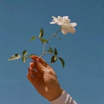 宠物精灵h5官方版下载