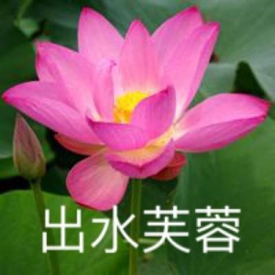 少年雪刀传手游(暂未上线)v1.4.6 安卓版
